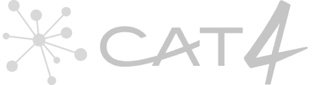 cat 4